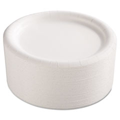 Premium Coated Paper Plates, 9 Inches, White, Round,